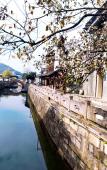 Туры в отель Homeinn Plus Hotel ( Pingyao Old Street Liangzhu Site Park)