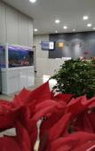Туры в отель Rujia Huayi Hotel (Jinzhong Yushe Fengtai Road)