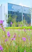 Туры в отель Atour S Hotel Dishui Lake Lingang Wanda Plaza Shanghai
