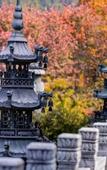 Туры в отель Shijian·Changle Homestay (Jiuhuashanshang Branch)