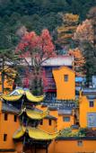 Туры в отель Shijian·Changle Homestay (Jiuhuashanshang Branch)