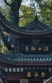 Туры в отель Shijian·Changle Homestay (Jiuhuashanshang Branch)