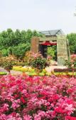 Туры в отель QIANNA HOTEL (Zhengzhou Shangdu Road Fangte Branch)