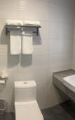 Туры в отель GreenTree Zhixuan Hotel (Beijing Tongzhou Jinsanjiao Shangmaocheng)