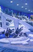Туры в отель Shanghai Jinqiao Haichang Penguin Wassim Hotel
