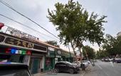 Туры в отель Shankee Hotel (Jinzhou Guangming Street)