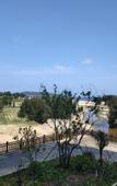 Туры в отель Rezen Hotel Sailing Seascape