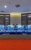 Туры в отель Rezen Hotel Sailing Seascape