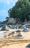 Туры в отель Rezen Hotel Sailing Seascape