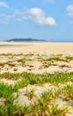 Туры в отель Rezen Hotel Sailing Seascape