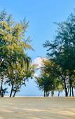 Туры в отель Rezen Hotel Sailing Seascape