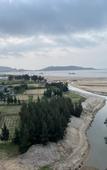 Туры в отель Rezen Hotel Sailing Seascape