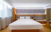 Туры в отель Borrman Hotel (Huai'an Hexia Ancient Town Wu Chengen Former Residence)