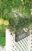 Туры в отель Shanghai was still home-to-home