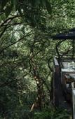 Туры в отель Sisan Resort-Hupao 1934 Hotel