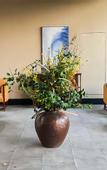 Туры в отель Xiaotang Yipiao Hot spring Holiday Hotel