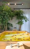 Туры в отель Xiaotang Yipiao Hot spring Holiday Hotel