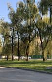 Туры в отель Xiaotang Yipiao Hot spring Holiday Hotel