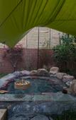 Туры в отель Xiaotang Yipiao Hot spring Holiday Hotel