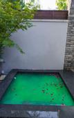 Туры в отель Xiaotang Yipiao Hot spring Holiday Hotel