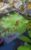Туры в отель Xiaotang Yipiao Hot spring Holiday Hotel