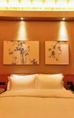 Туры в отель Xiaotang Yipiao Hot spring Holiday Hotel