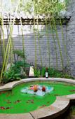Туры в отель Xiaotang Yipiao Hot spring Holiday Hotel