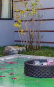 Туры в отель Xiaotang Yipiao Hot spring Holiday Hotel
