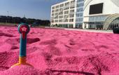 Туры в отель BLUE OCEAN LINDUN HOTEL