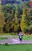 Туры в отель jiangchengchalejia Hotel