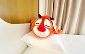 Туры в отель Boonie Bears Hotel