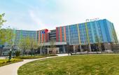 Туры в отель Boonie Bears Hotel