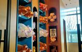Туры в отель Boonie Bears Hotel