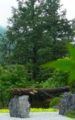 Туры в отель Landison Hotel Sanqing Moutain