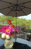 Туры в отель Landison Hotel Sanqing Moutain