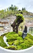 Туры в отель Landison Hotel Sanqing Moutain