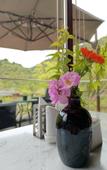 Туры в отель Landison Hotel Sanqing Moutain
