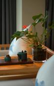 Туры в отель Landison Hotel Sanqing Moutain