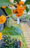 Туры в отель Landison Hotel Sanqing Moutain