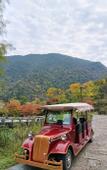 Туры в отель Landison Hotel Sanqing Moutain