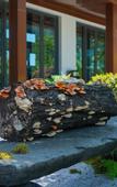 Туры в отель Landison Hotel Sanqing Moutain
