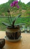 Туры в отель Landison Hotel Sanqing Moutain