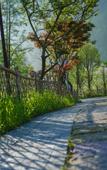 Туры в отель Landison Hotel Sanqing Moutain