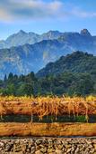 Туры в отель Landison Hotel Sanqing Moutain