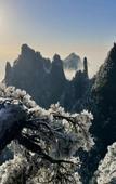 Туры в отель Landison Hotel Sanqing Moutain