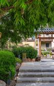Туры в отель Joy Holiday Hotel Lijiang