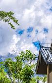 Туры в отель Joy Holiday Hotel Lijiang