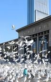 Туры в отель Yitel Collection Hotel (Shijiazhuang Zhongshan East Road Wanda Plaza)