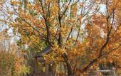 Туры в отель Narada Beijing