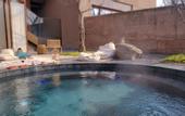 Туры в отель Canbeauty Resort and SPA Chengdu